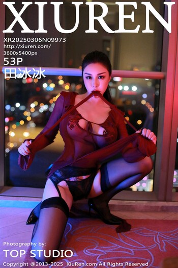 秀人网No.9973田冰冰